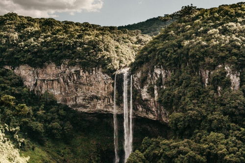 Crédito da foto: Foto de Jonathan Borba: https://www.pexels.com/pt-br/foto/foto-panoramica-de-cachoeiras-durante-o-dia-3021252/ Canela